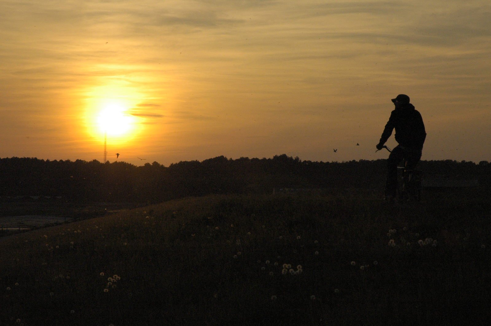 Safe Cycling